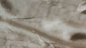 Rituals Limpias 2023