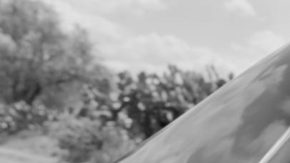 Roma Indigenous films