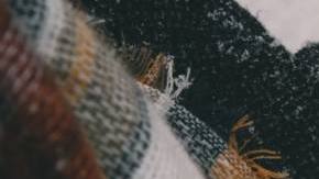 Photo by Brigitte Tohm