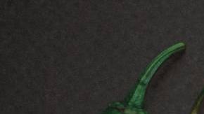 Peppers latin america