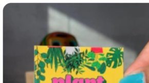 Plant products Latinx owned