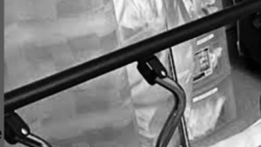 Adrienne Houghton infertility