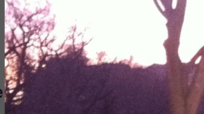 Ceciilia Vega 60 Minutes