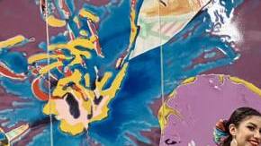 Mariachi country series