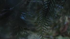 Wednesday season 2 netflix