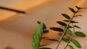 Gender roles mental health latinas