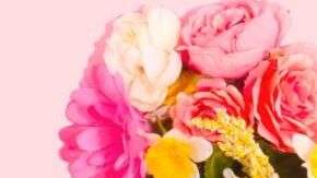 Limpias plants healing