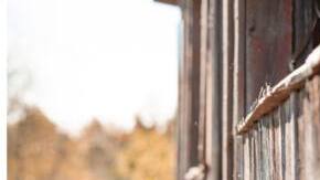 Natalie Gutierrrez The Pain We Carry