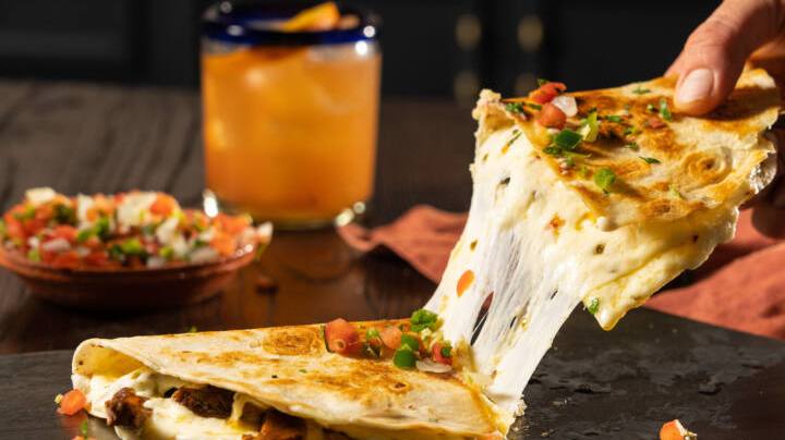 Cheesy Quesadilla