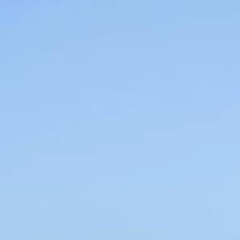 Undocumented immigration story