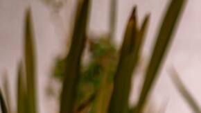 Mirna Martinez mental health