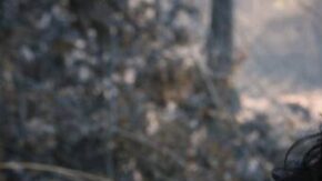 Wednesday Netflix season two