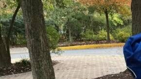 Afro Latina academia