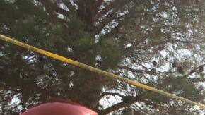 El Paso walmart memorial