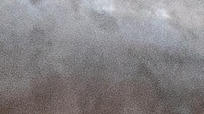 Ariana Holiday Article - Hero Image