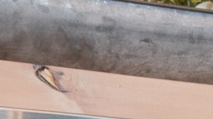 Ariana Holiday Article - Hero Image