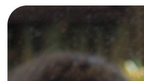 Xochitl-Julisa Bermejo Incantation