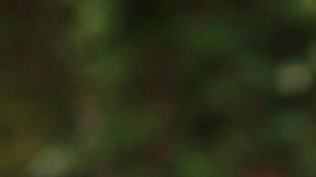 Jannese Torres digame