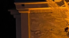 Jennifer Vasquez Goth Latiina