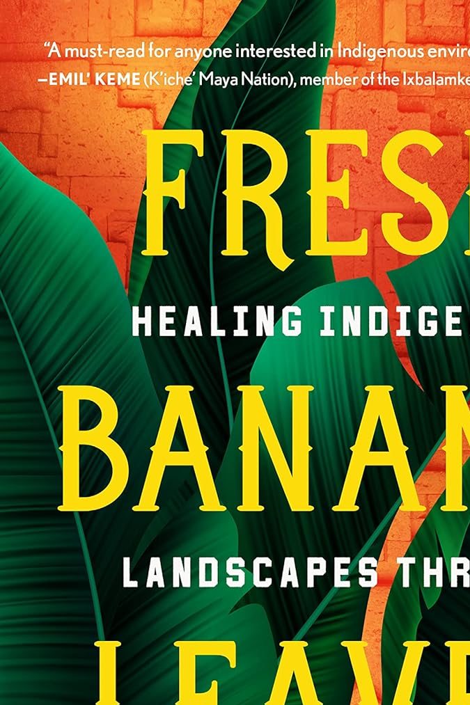 Indigenous Latin American authors