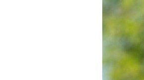 Dr. Hortencia Jimenez