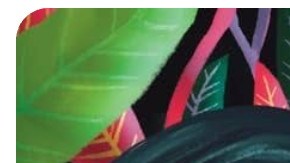 Indigenous Latin American authors