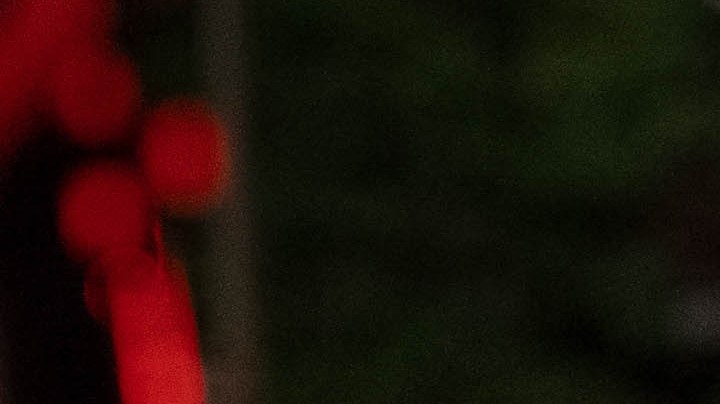 Melissa Barrera fired Scream VII