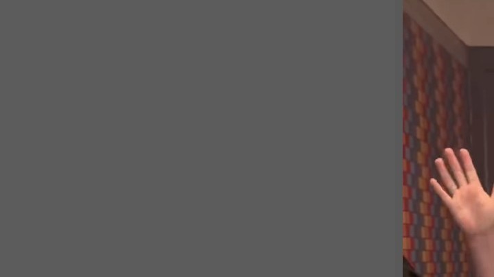 Disneyland racist rant