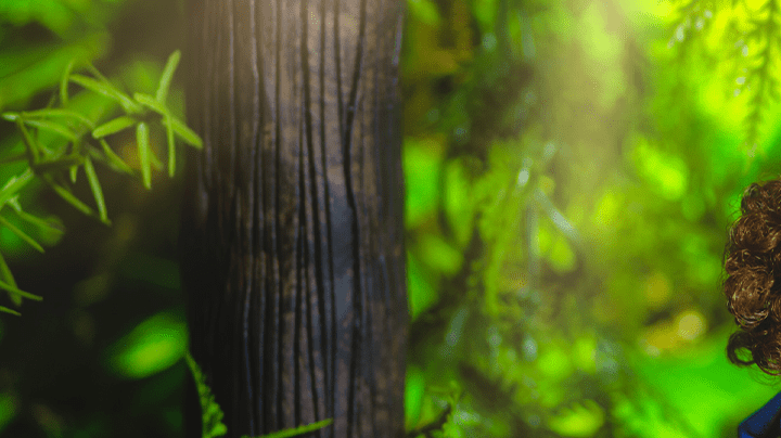 La Borinqueña doll