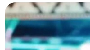 LATAM foreign film Oscars