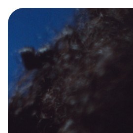 Latin music artists 2023