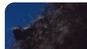 Latin music artists 2023