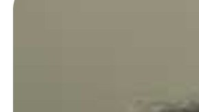 Ana Munguía Coco death