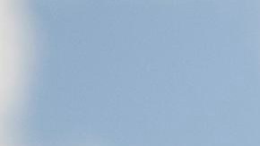 Black hair discrimination