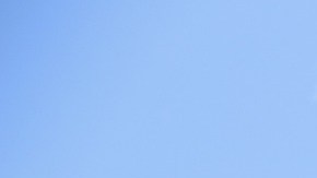 Ecuador narco violence