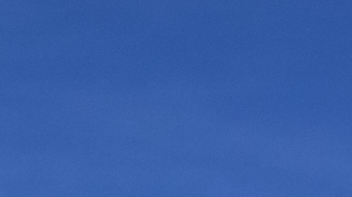 Bolivia Palestine court case