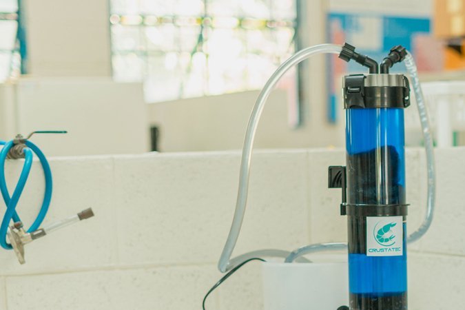 Latina inventors 2024 María Isabel Amorín