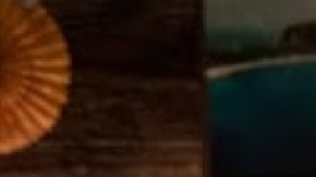 Che Diaz Sara Ramirez