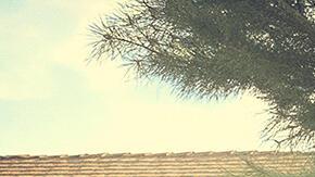 This Fool Hulu series