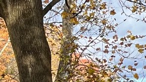 Courtesy of City Señoras/Founders Alexis Mendias (left) and Jaqueline Padilla (right)