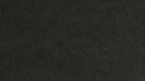 Eldest Daughter biology