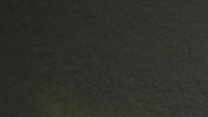 Eldest Daughter biology