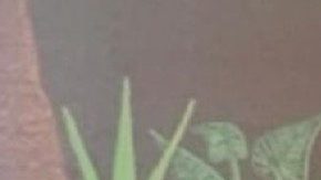 Lizette Epps bookfest