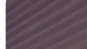 Up & coming Latina poets