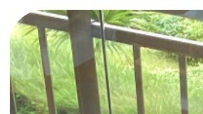 Asian Latinx changemakers