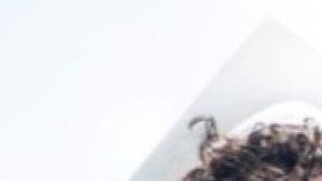 Cultural regalia graduation