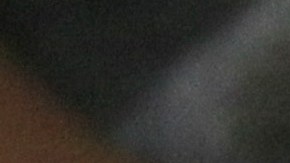 Mexico Heat Wave Monkey Deaths