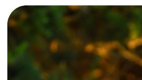 Melissa Mogollon Oye