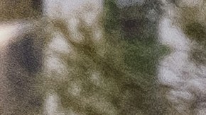 queer latinx changemakers