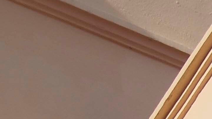 Dominican Republic Abortion